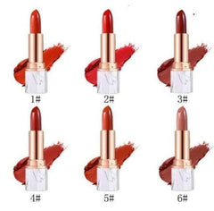 Matte Lipstick Set 4 Shades Long Lasting Pakistani