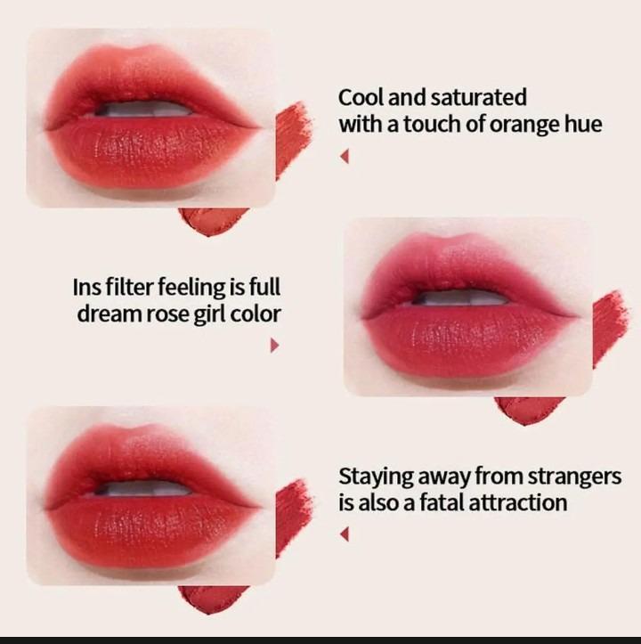 Premium Matte Lipstick Set 3 Shades Gold Accents